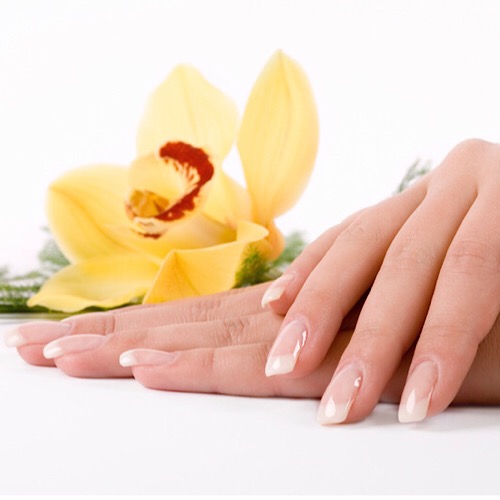 EXOTIC NAILS - manicures